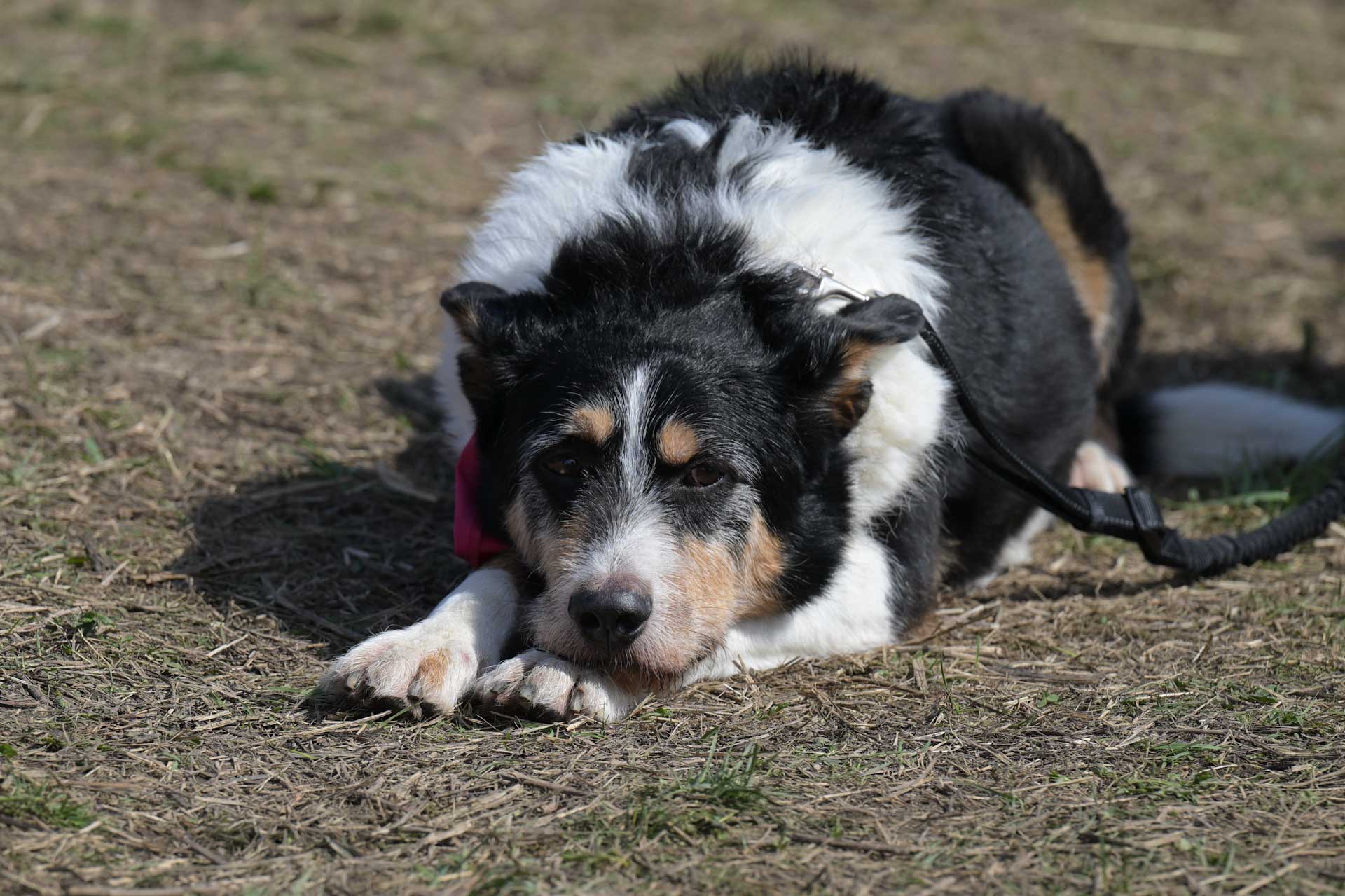 Алексей Никольский/РИА Новости РИАХР йпг